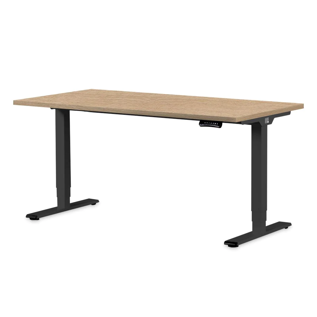 Höhenverstellbare Schreibtische - elektrisch, stabil & ergonomisch -  Steh-Sitz-Tisch kaufen